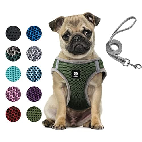 Dog and Cat Universal Harness with Leash - Cat Harness Escape Proof - Adjustable Reflective Step in Dog Harness for Small Dogs Medium Dogs - Soft Mesh Comfort Fit No Pull No Choke Tactical Green M - Image 1