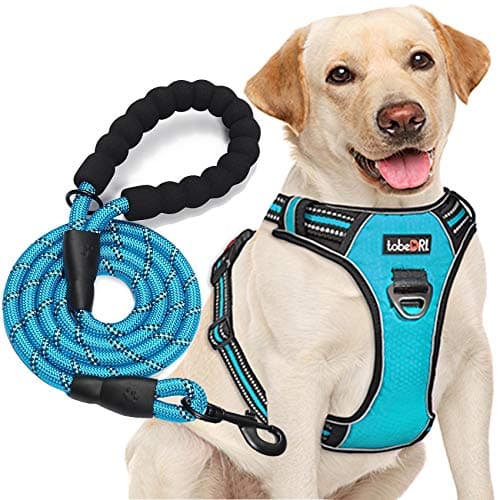 tobeDRI No Pull Dog Harness Adjustable Reflective Oxford Easy Control Medium Large Dog Harness with A Free Heavy Duty 5ft Dog Leash (L (Neck: 18"-25.5", Chest: 24.5"-33"), Blue Harness+Leash) - Image 1