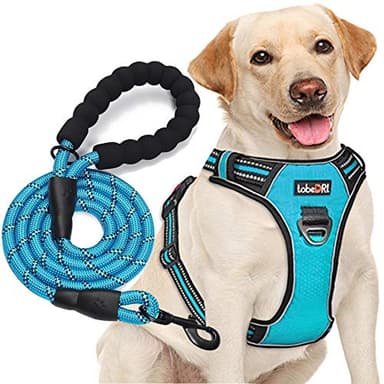tobeDRI No Pull Dog Harness Adjustable Reflective Oxford Easy Control Medium Large Dog Harness with A Free Heavy Duty 5ft Dog Leash (L (Neck: 18"-25.5", Chest: 24.5"-33"), Blue Harness+Leash) - Image 1