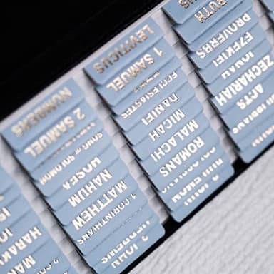 UPAFEXXI-Leather Bible Tabs, Bible Tabs for Women and Men(Gold Foil Lettering) Large Print Stickers, Easy to Read and Apply, 80 Chapters Labels for Easy Navigation(Sky Blue) - Image 3