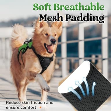 rabbitgoo Escape Proof Dog Harness, Soft Padded Full Body Pet Harness, Reflective Adjustable No Pull Vest with Lift Handle and Lesh Clip for Large Dogs Walking Hiking Training, M, Green - Image 7