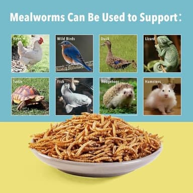 WormsFarm 5lb Dried Mealworms for Chickens Treats for Laying hens,Bluebirds,Quail,Chicken Food - Image 6