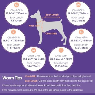 Bess Bridal Dog Life Jacket - Shark Life Vest for Swimming Boating - Reflective Lifejacket Swimsuit for Small Medium Large Dogs - High Buoyancy Lifesaver Preserver with Rescue Handle, Green Dolphin XL - Image 4