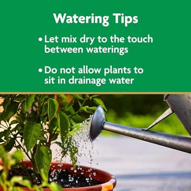 Miracle-Gro Potting Mix, For Container Plants, Flowers, Vegetables, Annuals, Perennials, Shrubs, Feeds for up to 6 Months, 16. qt., 2-Pack - Image 8