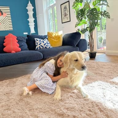 OLANLY 6x9 Machine Washable Large Area Rugs for Living Room, Bedroom, Soft Fluffy Shaggy Bedside Rug, Indoor Floor Carpet for Kids Girls and Boys, Dorms, Nursery, Home Decor Aesthetic, Beige - Image 5