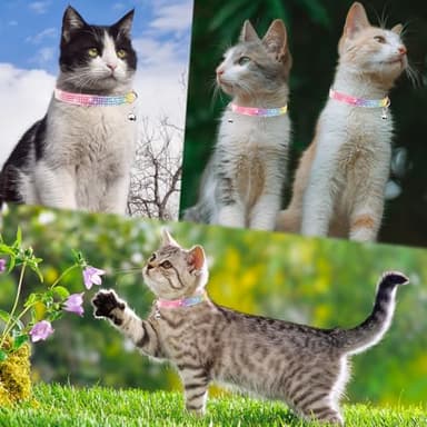 Cat Collar with Bell, MUZIEBA Breakaway Safe Pet Collar Kitty Necklace for Small Dogs Cat Kitten Bling Rhinestone Girl Boy Adjustable Length(1pcs), Black, 25cm-32cm (8in - 13 in) - Image 5