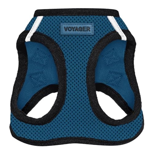 Best Pet Supplies - All Weather Mesh / Plush, Reflective, No Pull Harness for Small, Medium Dogs, Cats - Secure with Hook & Loop Fastener, Buckle, Double D-Rings - Blue/Black Trim, L - Image 1
