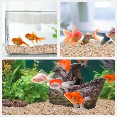 Pulovin 2.5 lbs Coarse Silica Sand for Indoor Plants, 1/5 Inch Natural Decorative Gravel for Vases, Aquariums, Terrarium, Fish Tank, Drainage Rocks for Potted Plants, Bamboo, Succulent, Crafts, Cactus - Image 7