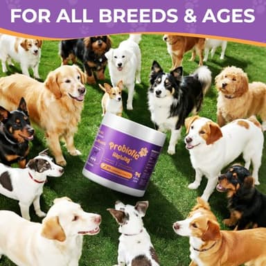 Probiotics for All Breeds and Ages Dogs, Support Gut Digestive Health, Anti Diarrhea, Constipation Relief, No More Allergies, Dog Supplements - Pork Flavor - 90 Soft Chews - Image 6