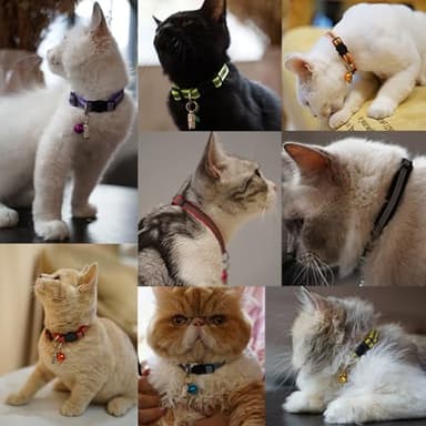 12 Pack Reflective-Breakaway Cat Collars with Bells,Safety Buckle Kitten Collar, with Name Tag, Adjustable,Ideal for Girl Cats Male Cats,Pet Supplies,Stuff,Accessories(12 Colors & 2 ID Tags) - Image 7