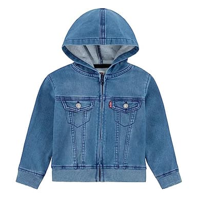 Levi's baby boys Hoodie, Sea Salt, 12 Months US - Image 1