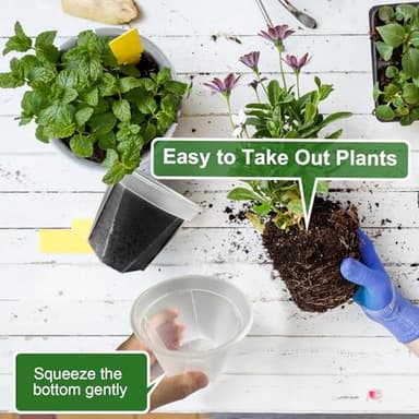 YALIOURS Clear Nursery Pots for Plants, 12Pack 4/5/6 inch Transparent Plastic Plant Pots with Drainage Holes, Garden Pots for Plants Flowers with 12Pack Trays and 15pcs Plant Labels - Image 5