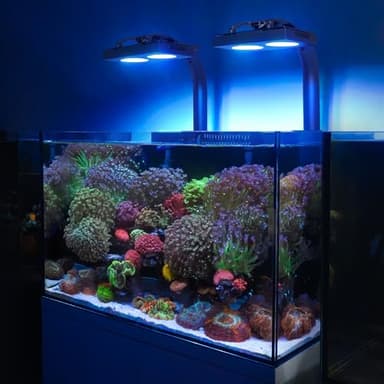 NICREW HyperReef 100 Gen 2 Reef LED Light, 100W Reef Aquarium Lighting for SPS LPS Corals and Saltwater Fish Tanks, Enhanced Violet and Blue Spectrum, Wide Angle Lens, 5 Channels Fully Programmable - Image 8