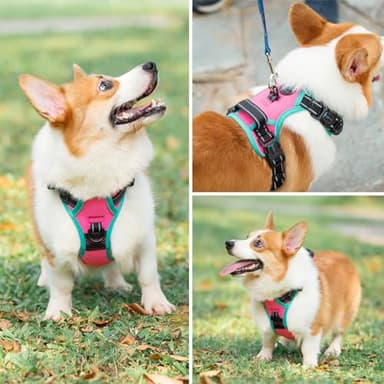 PHOEPET 2019 Upgraded No Pull Dog Harness, Reflective Adjustable Vest, with a Training Handle + 2 Metal Leash Hooks+ 3 Snap Buckles +4 Slide Buckles(L, Pink) - Image 6