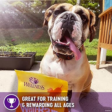 Wellness WellBars Dog Treats, Natural, Training Treat, Grain Free, Crunchy Yogurt, Apples & Banana (45 Ounce Bag) - Image 3