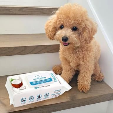 Best Pet Supplies Pet Wipes for Dogs - Dog Wipes Cleaning Deodorizing, for Coats, Ears, Paws - Moisturizing, Coconut, 100 Count - Image 6