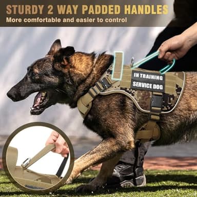 WINSEE Tactical Dog Harness for Medium Dog, Heavy Duty Service Working MOLLE Vest with 10 Pet Patches, 2X Metal Buckle Vest for Training Hunting Walking - Image 4