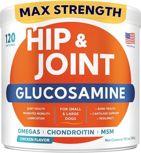 Glucosamine for Dogs Hip & Joint Supplement - Chondroitin, Omega-3, MSM - Joint Health & Pain Relief - Senior & Large Dogs - Made in USA - 120 Mobility Chews - Image 1