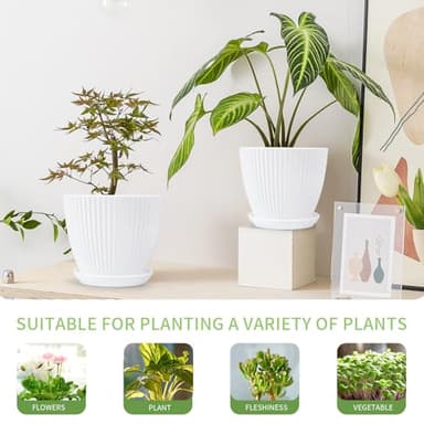 Vodotion - Plant Pots Indoor with Saucers & Drainage - 6 Pack Flower Pots - Plastic Planters for Indoor Planter - 7.5/6.6/5.8/5.0/4.3/3.5 inches Sizes for All Different Types of Plants - White - Image 3