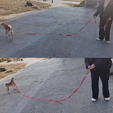 YUCFOREN 10FT 15FT 20FT Anti-Choke Long Slip Lead Dog Leash, 3/4" Wide Nylon Reflective Leash No Pull Training Lead for Medium Large Dogs (15FT * 3/4" Blue) - Image 8