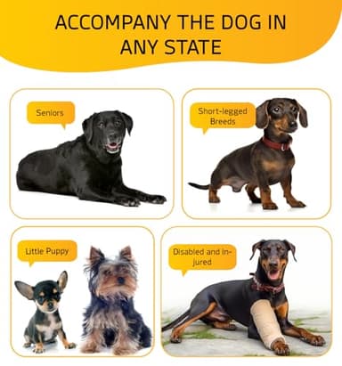 ABCPET Dog Stairs for Bed, Dog Steps for Bed Couch Sofa, 35D Foam Extra Wide Pet Steps for Small Dogs and Cats, Pet Stairs with Non-Slip Bottom Grey, 2 Steps - Image 5