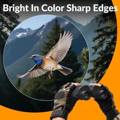 Binoculars 10x25 Compact for Bird Watching - ERUIDI Travel Binoculars for Adults Kids Lightweight for Easy Carry Comes with Portable Size - Image 2