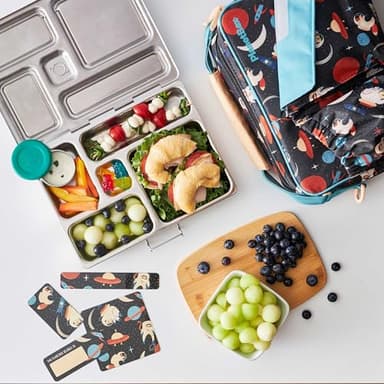 PlanetBox Rover Stainless Steel Bento Box Style Lunch Box Kit for Kids with 5 Compartments, Space Animals Edition includes Insulated Lunch Bag, Leakproof Food Containers and Matching Magnets - Image 6