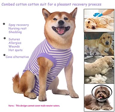 Sychien Dog Recovery Suit Medium,Female Spay Male Surgery Recovery Shirt,Soft Combed Cotton Surgical Puppy Suit,M Purple-White Striped - Image 4
