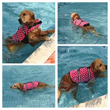 Doglay Dog Life Jacket, Dog Life Vest for Swimming Boating, Adjustable Puppy Life Jacket with Reflective Stripes, Superior Buoyancy Dog Swimming Vest for Small Medium and Large Dogs - Image 3