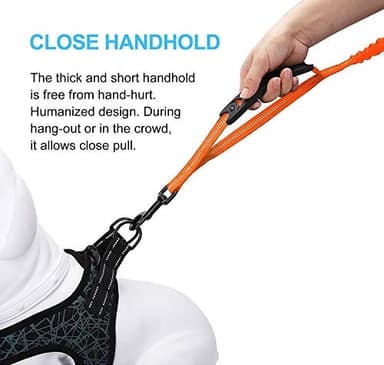 LEADSOM 6FT Highly Reflective Heavy Duty Elastic Bungee Medium and Large Dog Leash Shock Absorbing with Comfortable Padded Handle and Traffic Handle Suitable for Training - Image 4