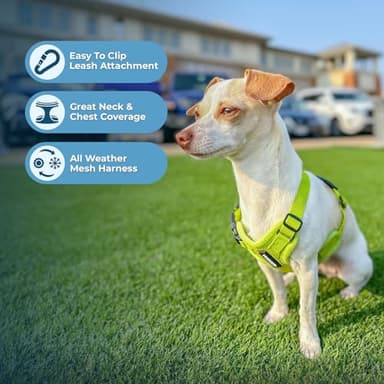 Best Pet Supplies Voyager Step-in Air Harness - All Weather Mesh, Reflective, No Pull Harness for Dogs, Cats - Secure with Hook & Loop Fastener, Buckle, Double D-Rings - Lime Green, XXXS - Image 3