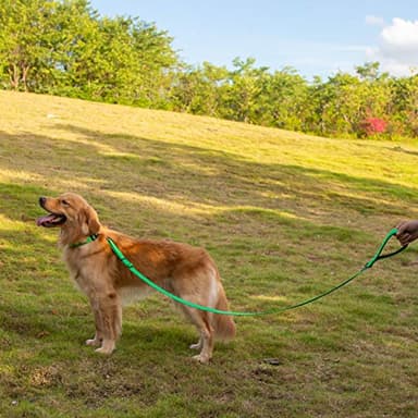 Hyhug Nylon Adjustable 4-6ft Dog Leash with Soft Neoprene Padded Handle, Durable Heavy Duty Leash with Easy-to-Use Bolt Snap, Ideal for Jogging Outdoor - Image 2