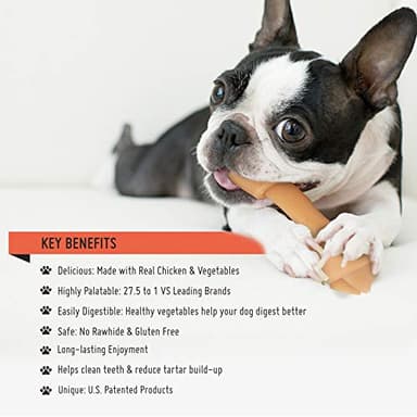 LuvChew Premium Peanut Butter Dog Chew Bones, Rawhide Free, Gluten Free, Made with Limited Ingredients, Delicious, Healthy, Highly Digestible (Mini 18pcs/Pack) - Image 4