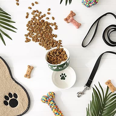 Bone Dry Dog Bone Ceramic Pet Bowl & Canister, Small, 4.25x2, Hunter Green, 2 Count - Image 3