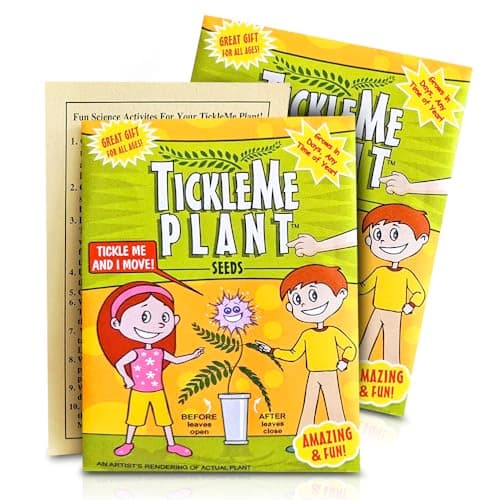 TickleMe Plant Seeds for Indoor Planting (2-Pack) – Interactive Party Favor | Leaves Close When Touched, Reopen in Minutes – Easy Indoor House Plant Seeds, Can Flower, Includes 10 Fun Activities - Image 1
