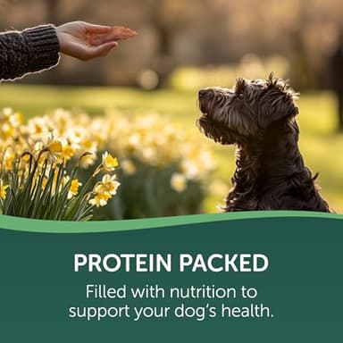 WESTMINSTER PET PRODUCTS 20 oz Wag Tails Jerky - Image 4