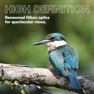 Nikon PROSTAFF P3 10x42 Binocular | Waterproof, fogproof, Rubber-Armored Full-Size Binocular, Wide Field of View & Long Eye Relief | Official Nikon USA Model - Image 9