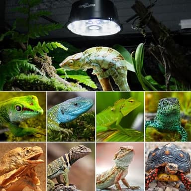 REPTI ZOO UVB Reptile Light with Dimming, LED UVB Light Bulb Fixture for Bearded Dragon Gecko Lizard Turtle Snake, Adjustable Brightness UVA UVB Lamp for Tropical & Desert Reptile - Image 7