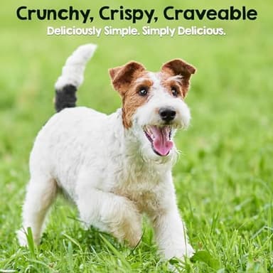 Riley's Chicken Sticks for Dogs - Natural USA Sourced Single Ingredient Dehydrated Real Meat Chicken Slims Jerky Treats, Made in The USA - 6 oz - Image 6