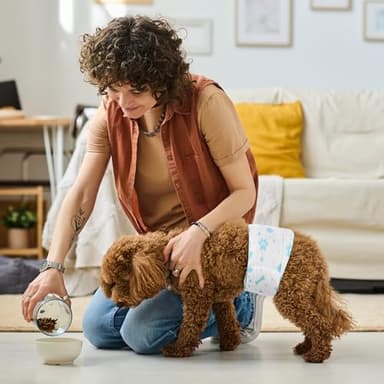 Male Dog Wrap, Disposable Dog Diapers, 40 Count, S (Waist 16.5”-19.7”), Wetness Indicator, Ultra Protection, Leak Proof, Super Absorbent, Soft - Image 5