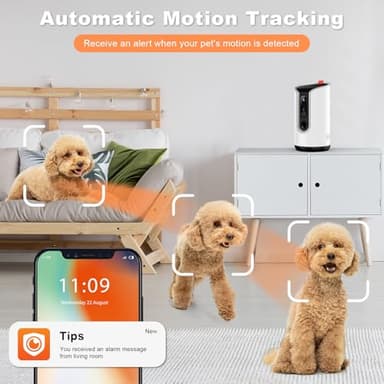 Fexfor 2K Pet Camera Security Dogs Camera, On-Device AI Tracking and Pet Monitoring, 360° View, with Treat Dispenser, Local Storage, 2-Way Audio, Phone App, Motion Alert - Image 5