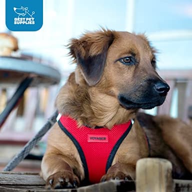 Best Pet Supplies - All Weather Mesh/Plush, Reflective, No Pull Harness for Small, Medium Dogs, Cats - Secure with Hook & Loop Fastener, Buckle, Double D-Rings - Black/Pink Trim, S - Image 9