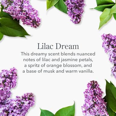 Beekman 1802 Lilac Dream Whipped Body Cream - 8 oz - Moisturizes, Soothes & Softens - With Coconut Oil and Mango Seed Butter - No Irritation - Good for Sensitive Skin - Image 4