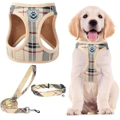 PUPTECK Adjustable Pet Harness Collar &Leash Set Step in for Small Dogs Puppy &Cats Outdoor Training &Running, Soft Mesh Padded Reflective Vest Harness,M: Chest girth: 16-18in Collar: 11.8-15.7in - Image 1