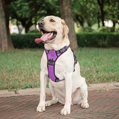 PoyPet No Pull Dog Harness, [Release on Neck] Reflective Adjustable No Choke Pet Vest with Front & Back 2 Leash Attachments, Soft Control Training Handle for Small Medium Large Dogs(Purple,S) - Image 3