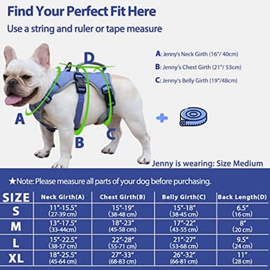 Huntboo Escape Proof Dog Harness, Escape Artist Harness, Reflective Dog Harness with Handle, Durable,Adjustable Vest for Small Medium Large Dogs Walking, Training, and Running Gear(Technicolor Blue,M) - Image 6