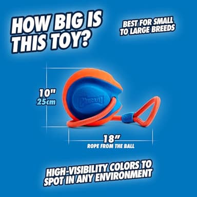 Chuckit! Rope Fetch Dog Toy - Ball on Rope Fetch and Tug-of-War Toy for Dogs - Durable EVA Rubber Construction - 5.5-inch Diameter - 18-inch Rope - Orange and Blue - Image 3