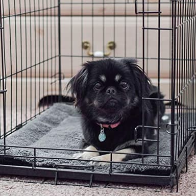 K&H PET PRODUCTS Self-Warming Cat Bed Pad, Self Heating Pad for Outdoor Cat Houses, Warming Mat for Indoor Pet Beds & Furniture, Reversible Blanket, Machine Washable - Small 21 X 17in Gray/ Black - Image 6