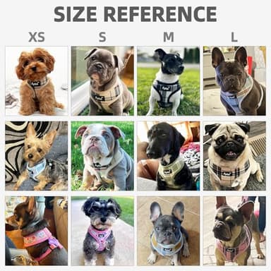 PUPTECK Soft Mesh Dog Harness and Leash Set Pet Puppy Cat Comfort Padded Vest No Pull Harnesses, Light Pink, S - Image 7