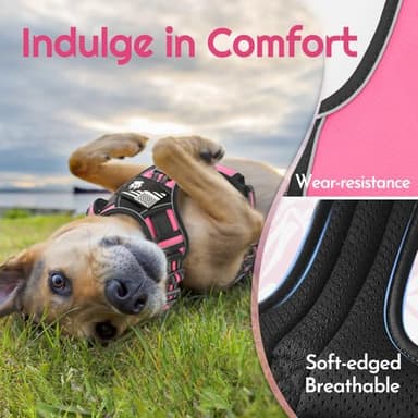 Eagloo Dog Harness for Large Dogs, Easy Wearing with 3 Buckles, Adjustable No Pull Pet Harness with 2 Rings for Walking, No Chock Reflective Soft Padded Vest with Control Handle, Pink & Black, XL - Image 6